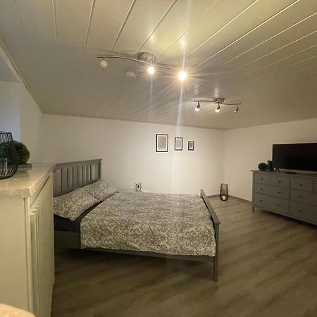 Haus Laerche Apartman Münster Kültér fotó